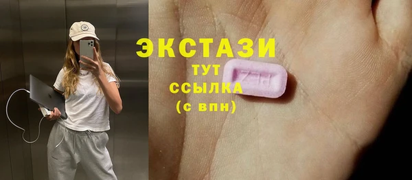 гидра Арсеньев