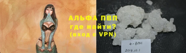 гидра Арсеньев