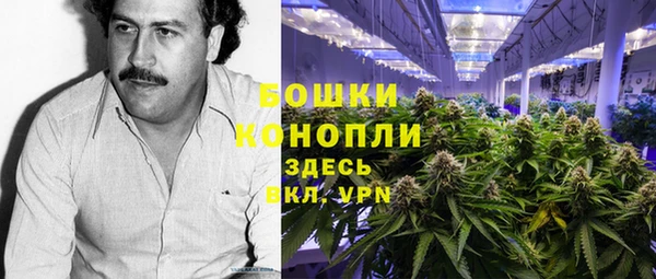 гидра Арсеньев