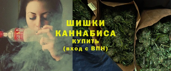 гидра Арсеньев