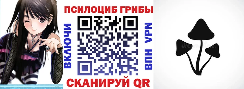 Псилоцибиновые грибы MAGIC MUSHROOMS  даркнет клад  Богучар 